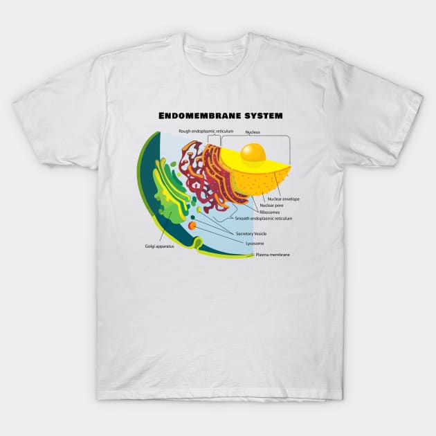 Endomembrane System on a Eukaryote Cell Chart T-Shirt by sovereign120